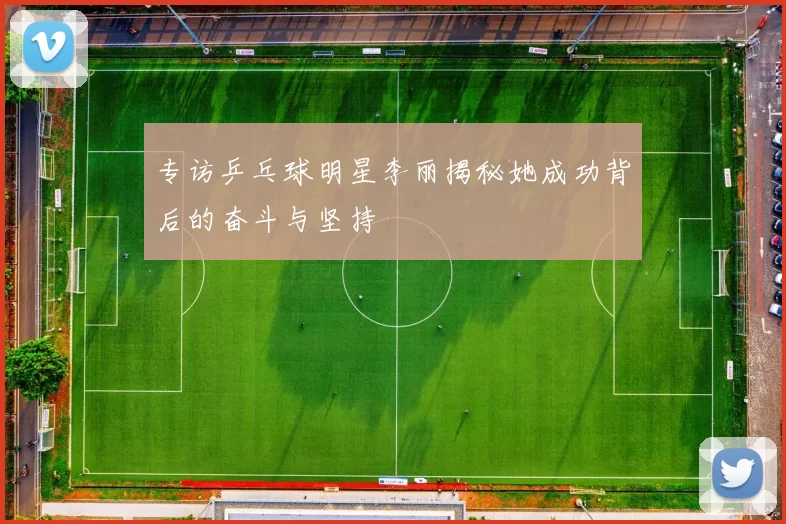 专访乒乓球明星李丽揭秘她成功背后的奋斗与坚持