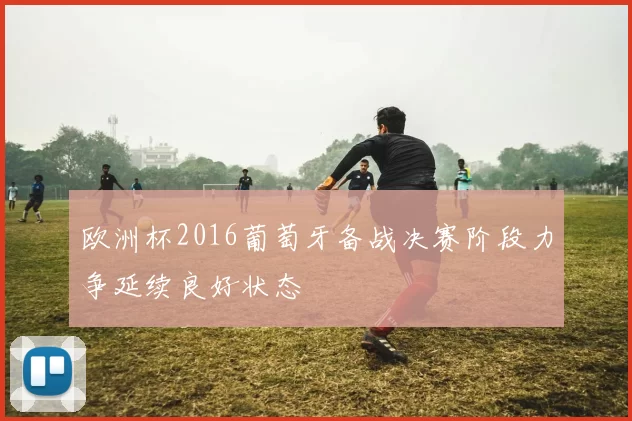 欧洲杯2016葡萄牙备战决赛阶段力争延续良好状态