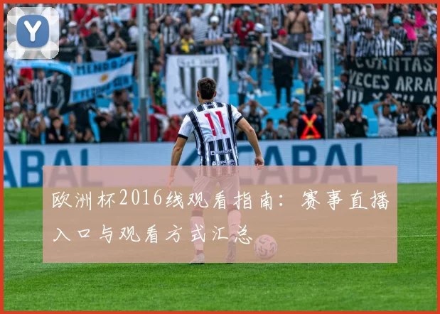 欧洲杯2016线观看指南：赛事直播入口与观看方式汇总