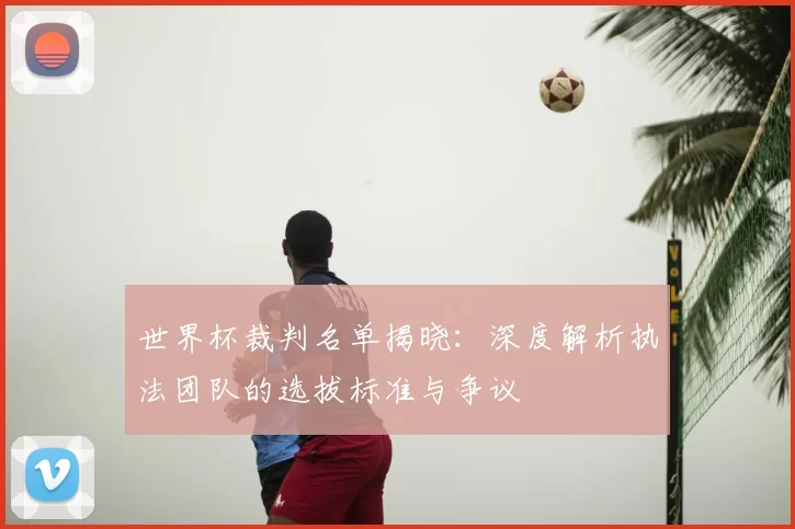 世界杯裁判名单揭晓：深度解析执法团队的选拔标准与争议
