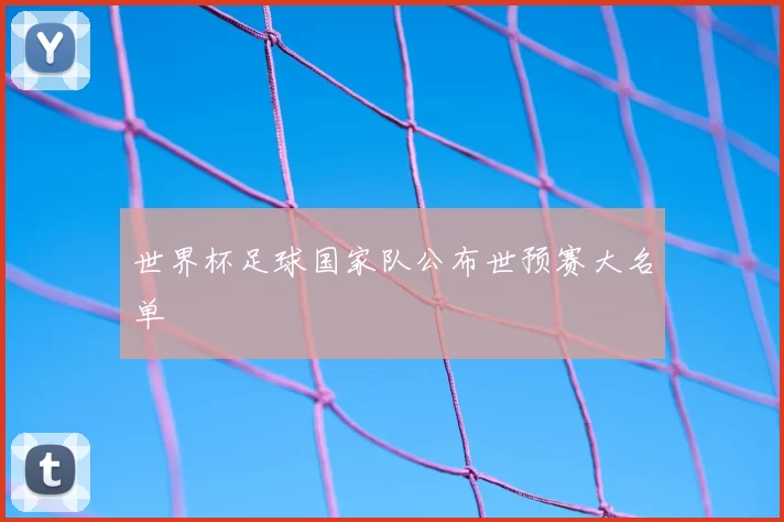 世界杯足球国家队公布世预赛大名单