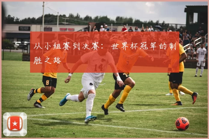 从小组赛到决赛：世界杯冠军的制胜之路