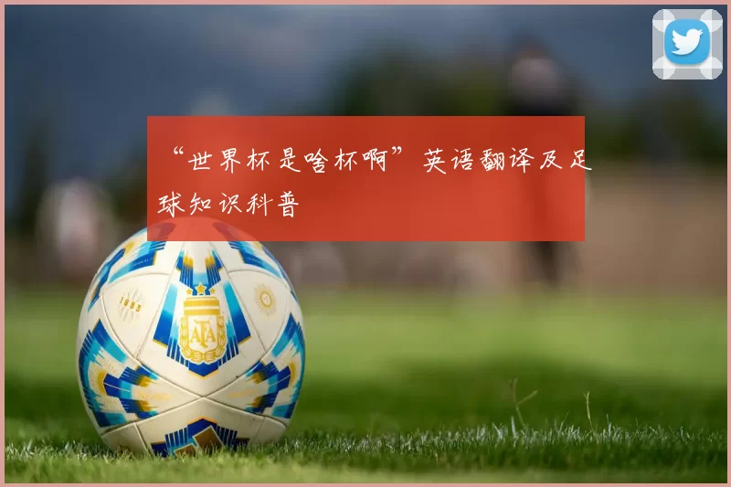 “世界杯是啥杯啊”英语翻译及足球知识科普