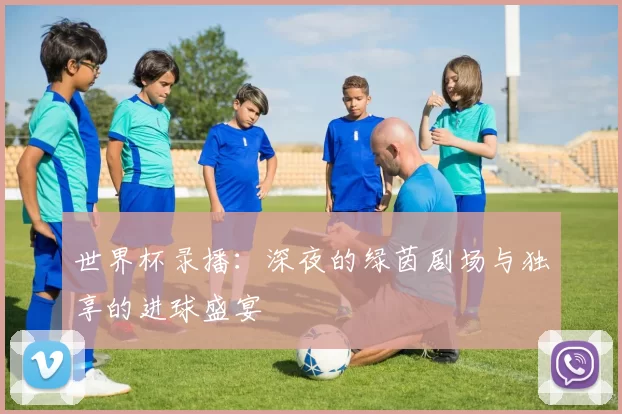 世界杯录播：深夜的绿茵剧场与独享的进球盛宴