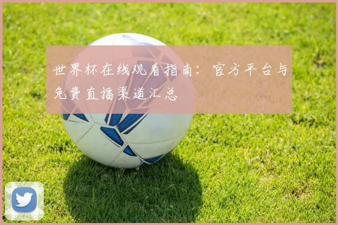 世界杯在线观看指南：官方平台与免费直播渠道汇总