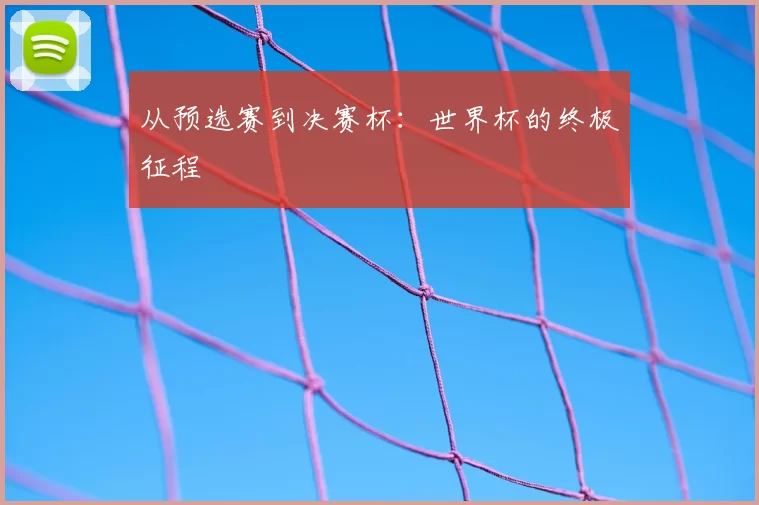 从预选赛到决赛杯：世界杯的终极征程
