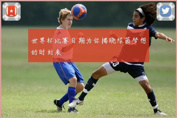 世界杯比赛日期为你揭晓绿茵梦想的时刻表
