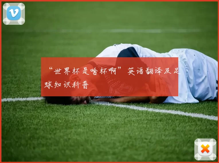“世界杯是啥杯啊”英语翻译及足球知识科普