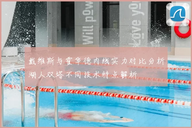 戴维斯与霍华德内线实力对比分析湖人双塔不同技术特点解析
